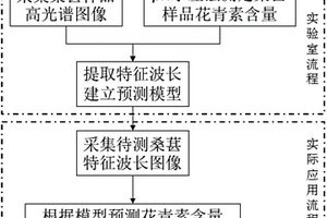 桑葚花青素含量的光谱检测方法