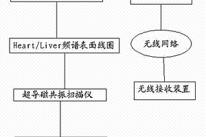 肝细胞癌检测诊断系统