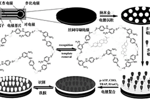 孕酮分子的分子印迹丝网印刷电化学传感器的制备方法及应用