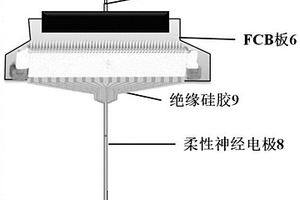 休眠检测调控集成化植入式柔性神经电极及测试系统