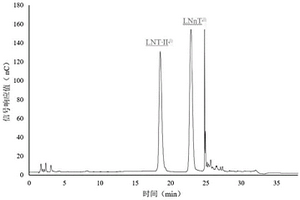 利用离子色谱同时测定乳糖-N-丙糖II和乳糖-N-新四糖的检测方法
