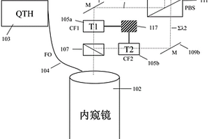 分子化学成像内窥镜成像系统