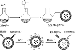 CdTe QD@ZIF-8纳米复合材料在检测铬离子中的应用