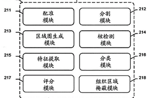 基于原色和免疫组织化学图像的计算机评分