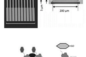 建筑工地用基于化学电阻的生物传感器的制备方法及应用