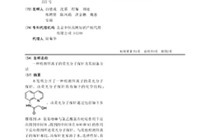 检测锌离子的荧光分子探针及其制备方法