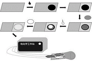 基于平板电极快速检测植物体内玉米素的方法