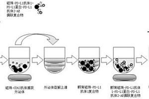 外泌体裂解试剂及外泌体PD-L1蛋白检测试剂盒