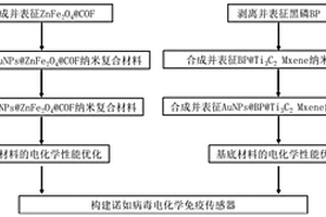 诺如病毒的检测方法