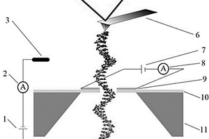 基于纳米孔和原子力显微镜的三通道并行DNA测序传感器及检测方法