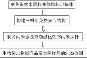 基于表面增强拉曼光谱的无酶信号放大生物标志物检测方法