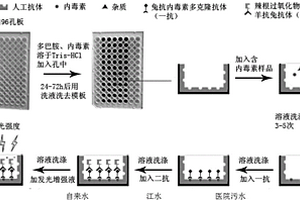 痕量内毒素的快速检测方法和试剂盒