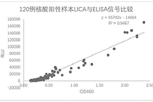 用于检测新型冠状病毒中和抗体的受体试剂及其应用