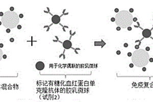 双试剂糖化血红蛋白检测试剂盒