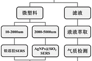 基于微塑料的水体中持久性有机污染物的SERS检测方法