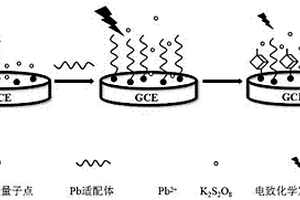 基于碳量子点检测Pb<sup>2+</sup>的修饰电极及其制备方法
