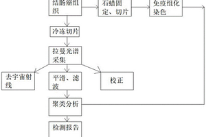 基于拉曼光谱的结直肠癌错配修复蛋白表达的检测方法