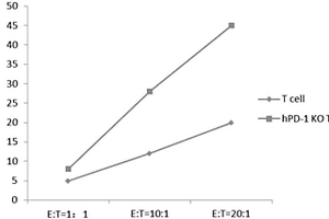 检测PD‑1敲除的或低表达的T细胞对肿瘤细胞杀伤性的方法