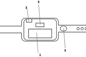 基于汗液检测的智能腕带