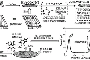 基于硼纳米片负载药物与MOF-纳米酶杂化物的比率电化学传感器的制备方法