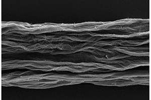 多元素掺杂的石墨烯纤维、其制备和应用
