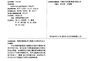 用新的碱基配对方案减少非特异性杂交