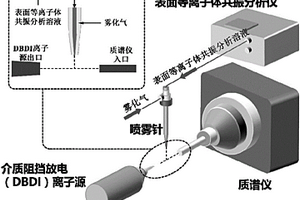 表面等离子体共振与质谱联用装置及使用方法