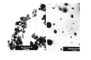纳米磁性微球和纳米磁性免疫微球及其制备方法和应用
