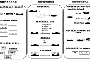 细胞培养装置及制备方法