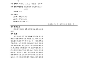 硅基半导体的拉曼散射增强基底及其制法和应用