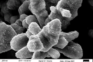 具有异质结构的氢氧化钴/氧化铜微米珊瑚阵列电极材料及其制备方法和应用