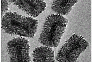 核壳型超结构纳米材料、其制备方法及应用