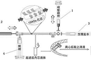 用于溶血样本处理的中空纤维超滤装置