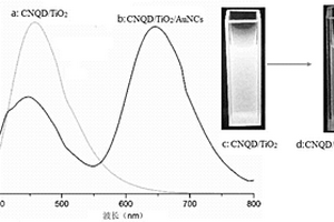 比率型CNQDs/TiO<sub>2</sub>/AuNCs复合荧光微球的制备方法及其应用