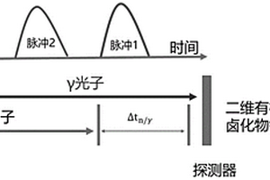 可同时探测γ射线和快中子的二维有机无机杂化钙钛矿闪烁体及其制备