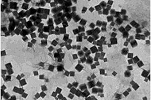 普鲁士蓝立方块/二硫化钼纳米复合材料的制备方法