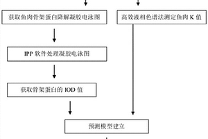 基于骨架蛋白的降解评价鱼肉新鲜度的方法