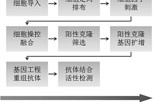 自动化单抗筛选机