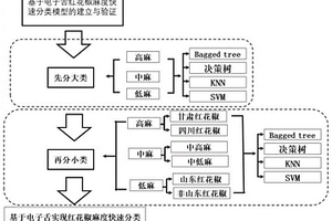 红花椒麻度的电子舌快速分类方法