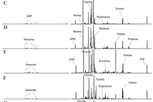 基于定量核磁共振代谢组学区分不同产地牡蛎的方法