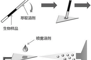 段塞流微萃取-纸基电喷雾质谱联用技术