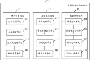 术中快速病理诊断的系统与方法