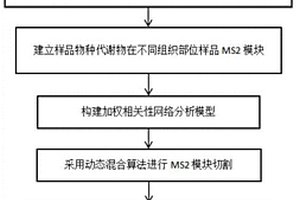 基于加权网络的大规模代谢组数据库构建方法