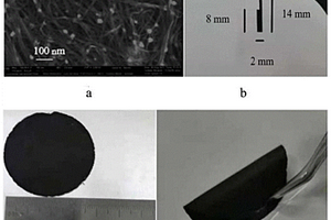 碳纳米管/AuPd复合膜及其制备方法和应用