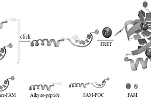 基于肽-寡核苷酸共轭识别的新型铅(II)荧光生物传感器及其应用