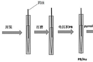 PPy/CDs/PB/Au纳米电极、制备方法及其应用