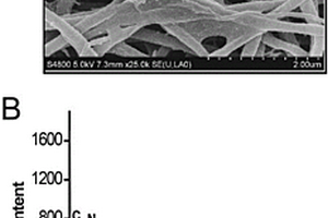 氧化镍/石墨烯/纳米复合纤维膜传感器及其制备方法和应用