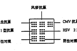 用于产前诊断的蛋白质芯片及制造方法