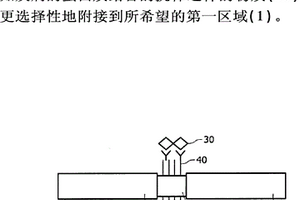 半导体传感器装置、包括该装置的诊断仪器及其制作方法