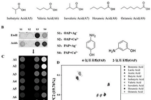 基于氨基苯酚-Ag+/Cu2+的有机酸小分子、白酒鉴别方法及可视化传感阵列